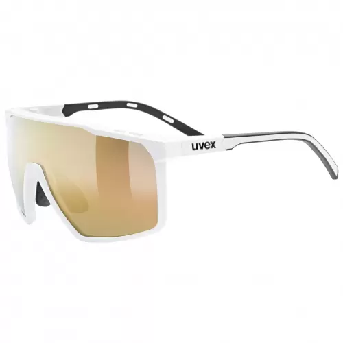 Ochelari de soare Mtn perform
