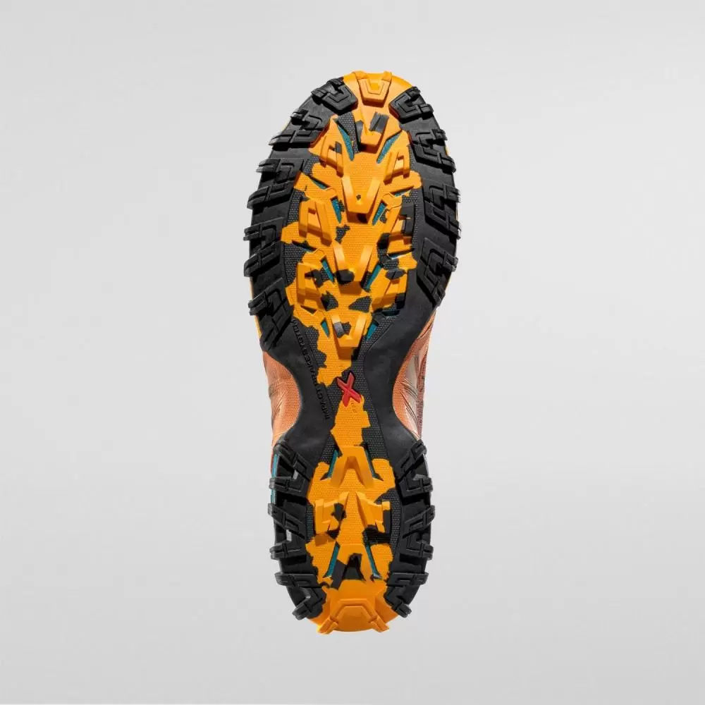 Imagine pt. Pantofi de trail running Bushido III GTX