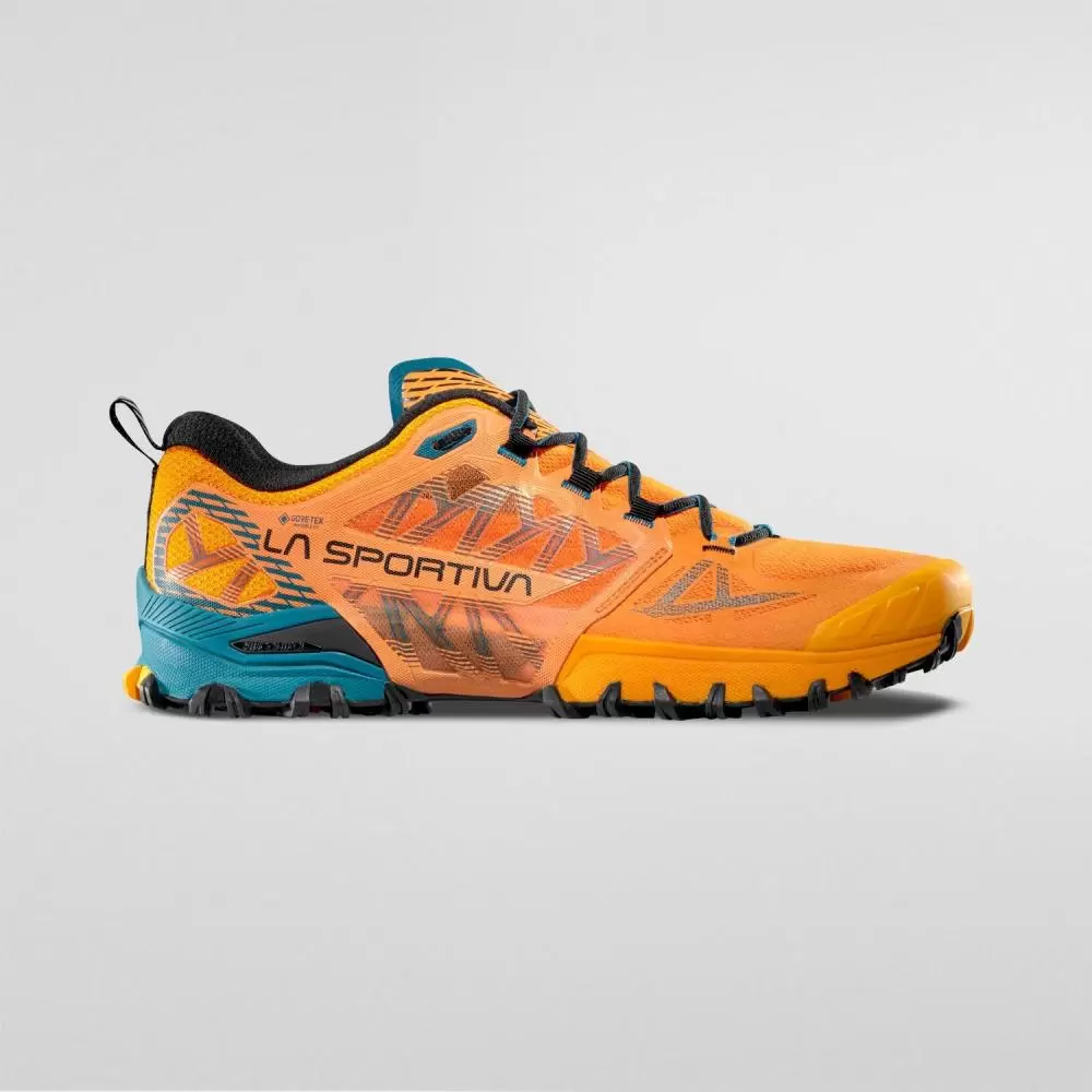 Imagine pt. Pantofi de trail running Bushido III GTX