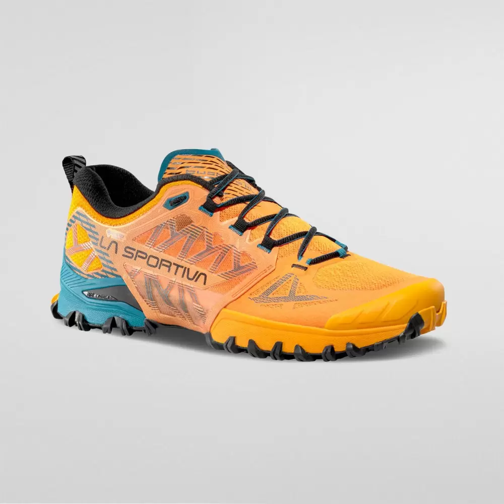 Imagine pt. Pantofi de trail running Bushido III GTX