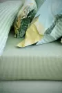 Фото для Простынь Duostripe